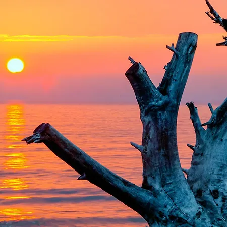 Teske 아파트 보른